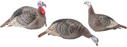 HS STRUT TURKEY DECOY FLOCK - STRUT-LITE HEN/JAKE/FEEDER