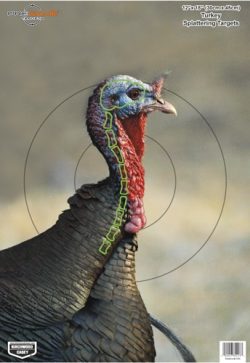 B/C TARGET PREGAME 12"X18" - TURKEY 8 TARGETS