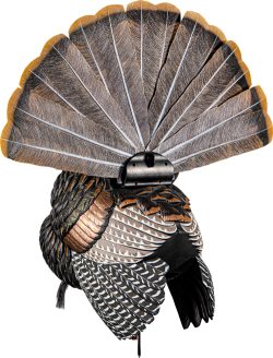 AVIAN X HDR STRUTTER DECOY