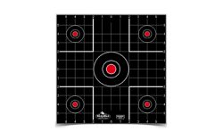 B/C DIRTY BIRD SIGHT IN TGT 12-12"