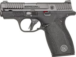 S&W BODYGUARD 2.0 380ACP 2.75" - 10/12 RD MAGS BLACK NO SAFETY