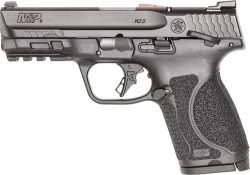 S&W M&P9 M2.0 COMPACT 9MM FS - 4" 10-SH W/TS & TLCI CA LEGAL