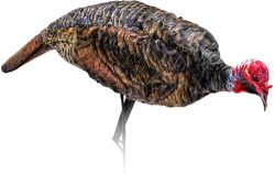 MONTANA DECOY TURKEY JAKE - PURR-FECT XD