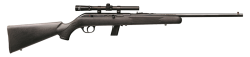 SAVAGE ARMS 64 SEMI-AUTO 22LR BL/SYN PKG
