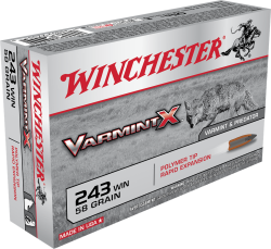 WINCHESTER SUPER X POWER POINT 243WIN 58GR 20RD BX 200RD CASE