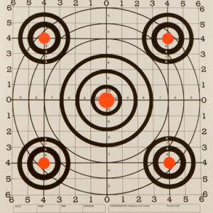 CHAMPION SCOREKEEPER 100 YD - SIGHT IN ORANGE/BLACK 12-PACK