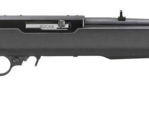 RUGER 10/22 MOE X22 STOCK 18.5"BBL NON THREADED BLACK/BLUED 1-10RD MAG
