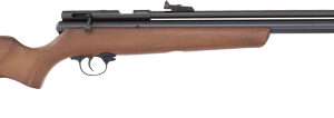BEEMAN 1317 PCP CHIEF .177 - PELLET AIR RIFLE SINGLE SHOT