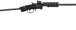 CHIAPPA LITTLE BADGER 22LR - TAKE DOWN EXTREME 16.5" MATTE