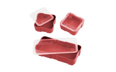 MPIMAG1389-RED_1.jpg