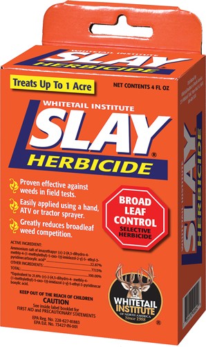 SH4.jpg