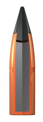 ax243ds_bullet_3