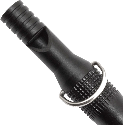 ft1001cp_whistle.jpg