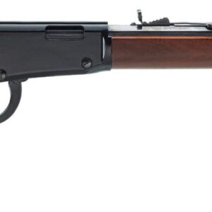 HENRY REPEATING ARMS LEVER ACT 22LR 20" OCTAGON BBL