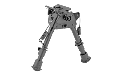 CAL247142_1