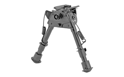 CAL247142_2