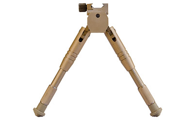 CAL534455_1