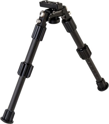 1081953_angled.jpg