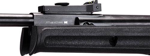 2251549_SIGHT