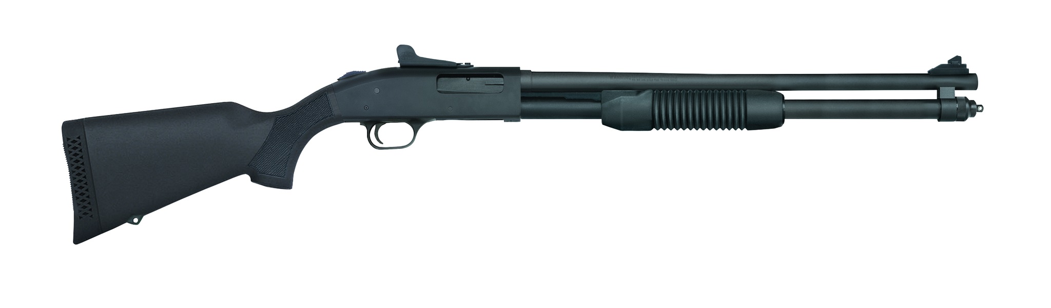 509661daa.jpg
