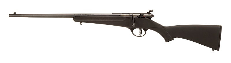 sv13843.jpg