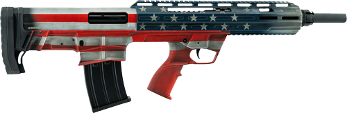 G21000164