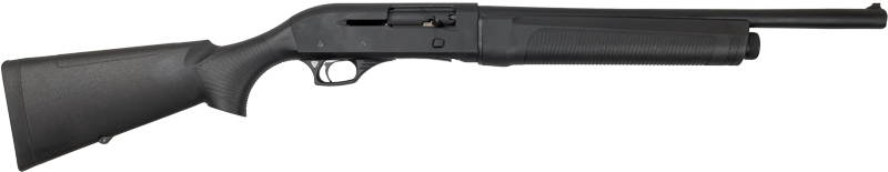G21000427