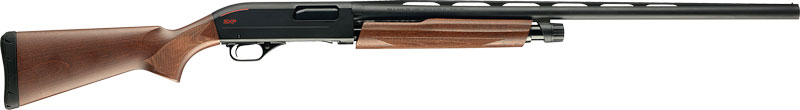 G512266691_1.jpg