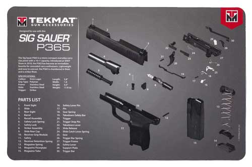 R17SIGP365