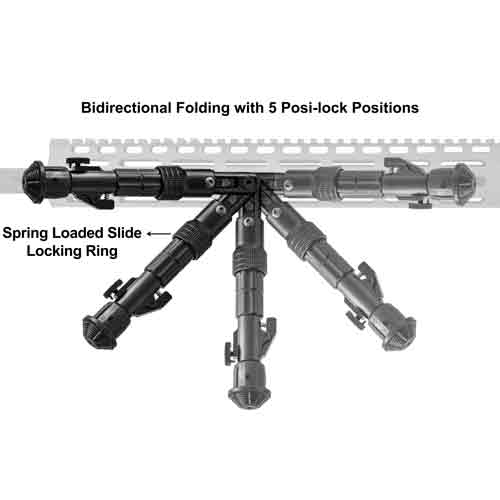 tlbpdm02_3.jpg