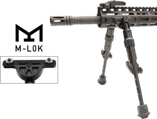 tlbpdm02_ongun.jpg