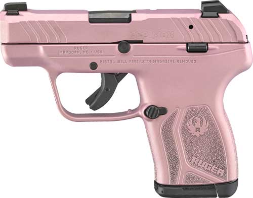 G13719