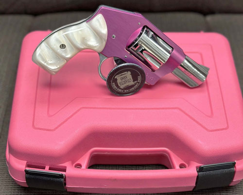 G53852_w_CASE_2