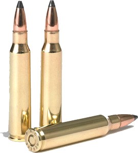 a223sp_shells