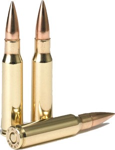 a308b_shells_1