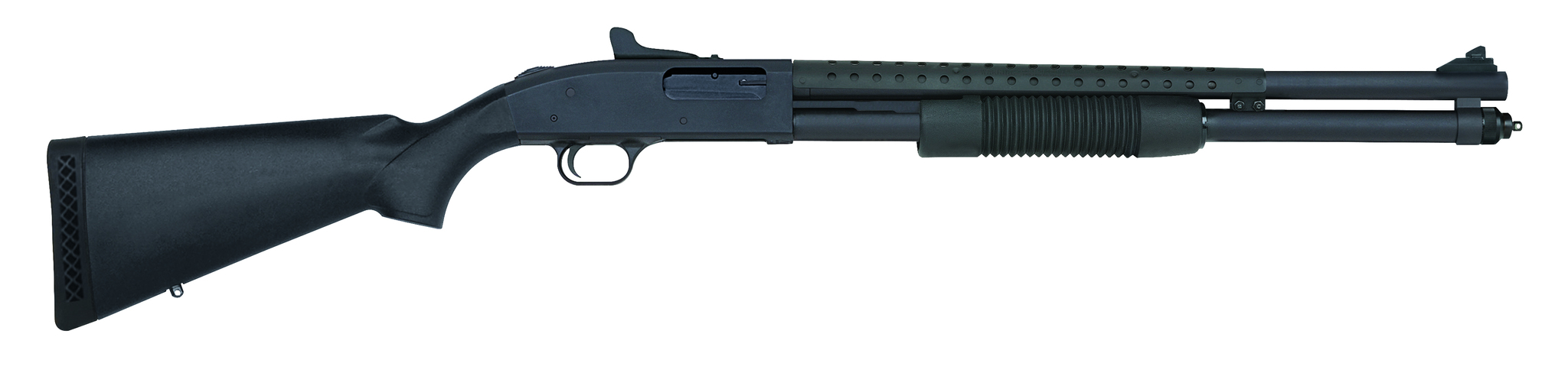 506936e31.jpg