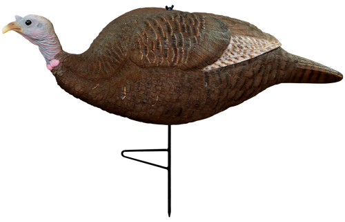 69073