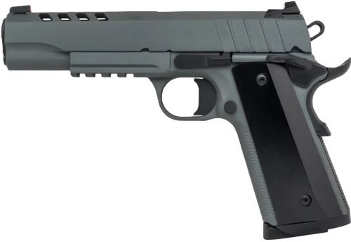GT10100528