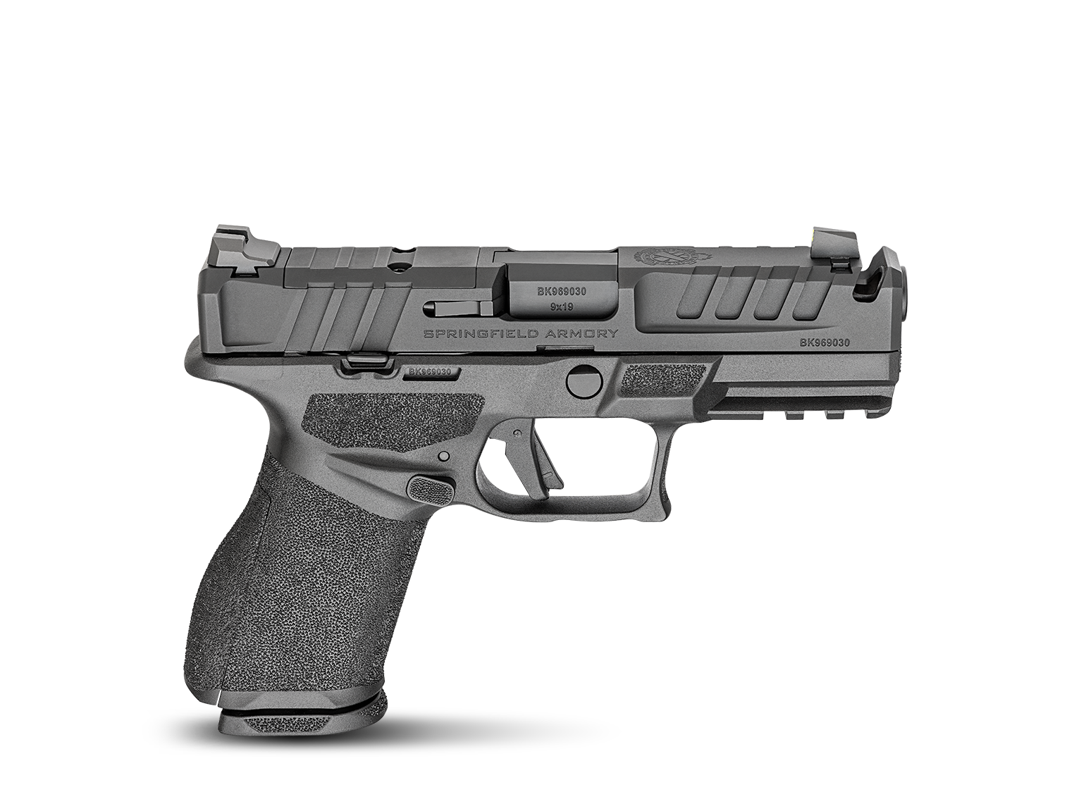image-full-8686-dc415977bf3543a8502747e57db2f0f1