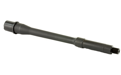 BABL556005M_2.jpg