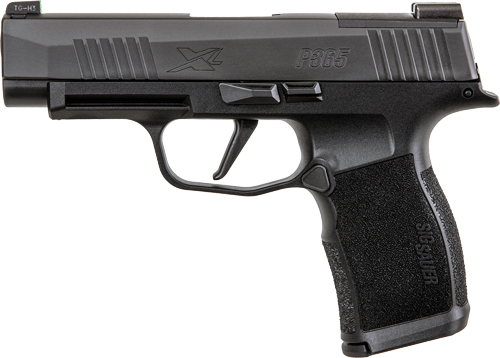 G365XL9BXR3P10.jpg
