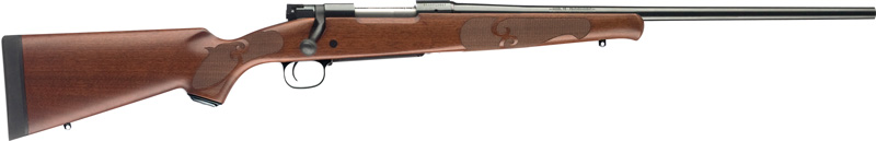 G535201289.jpg