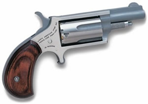 Naa-22m.jpg