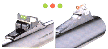 TG961R.gif
