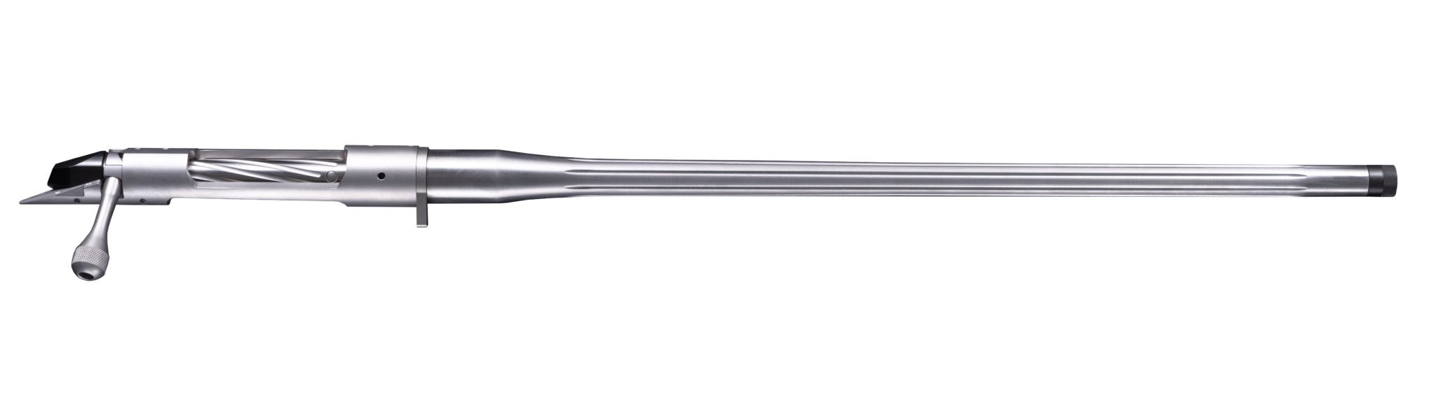 bgno46c4d-2.jpg