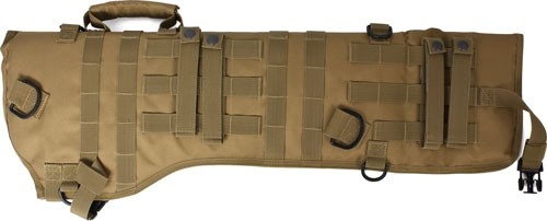 82026coy_back_2.jpg