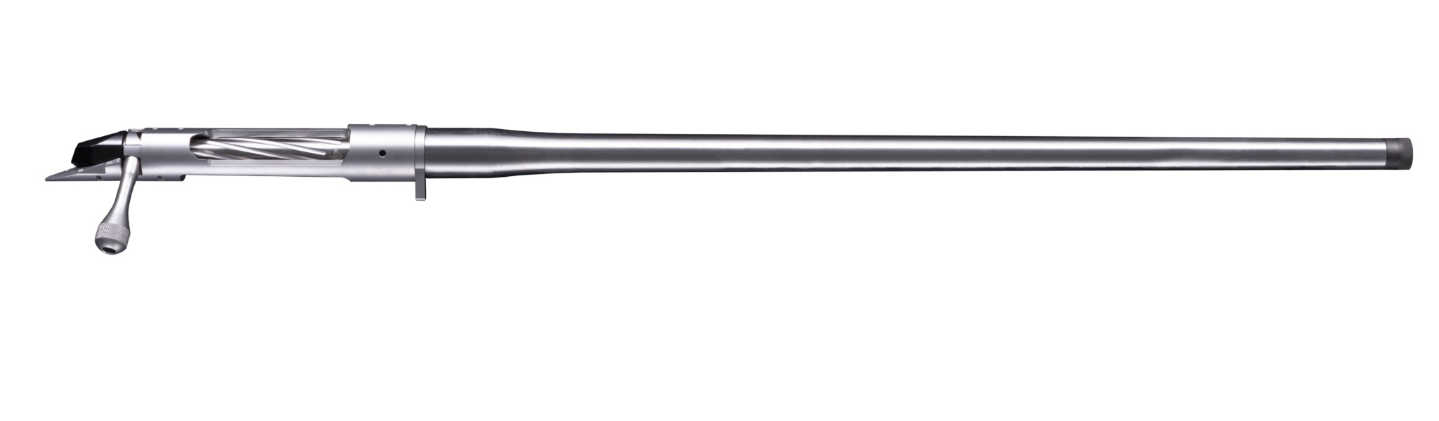 bgno555100-4.jpg