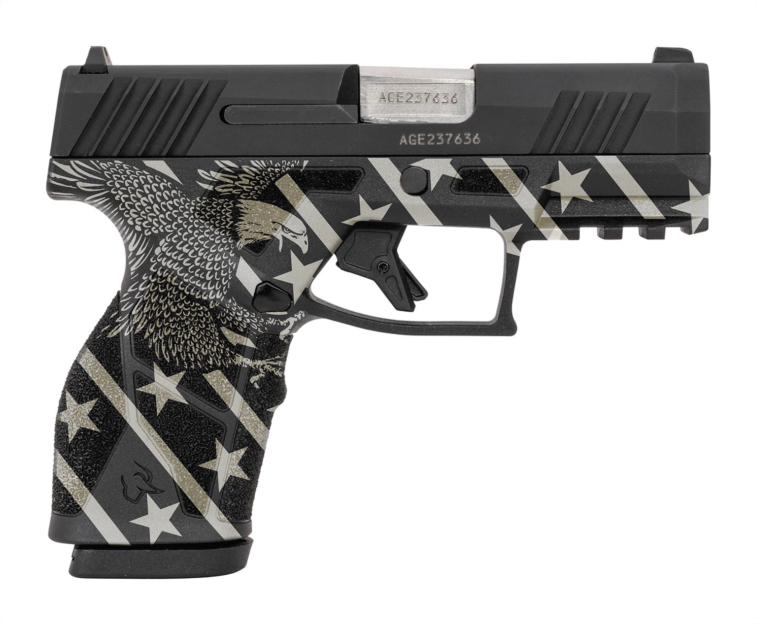 eagle69c6.jpg