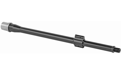 BABL556008F_2.jpg