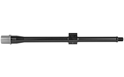 BABL556028F_3.jpg